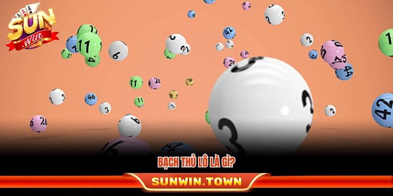 Khái quát chung về bạch thủ lô